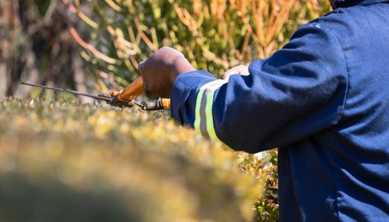 Landscaper at work — the kind of business we build websites for